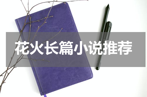 花火长篇小说推荐