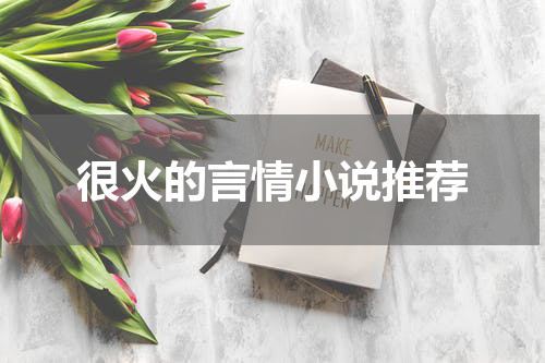 很火的言情小说推荐