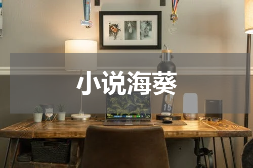 小说海葵