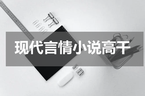 现代言情小说高干