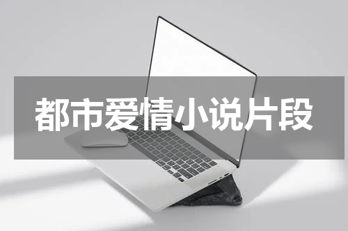 都市爱情小说片段