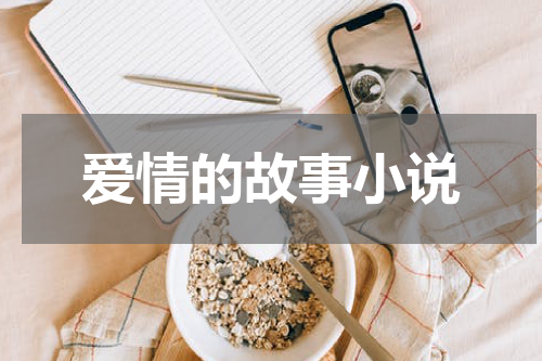 爱情的故事小说