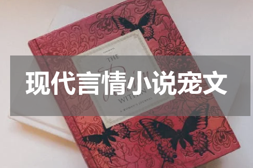 现代言情小说宠文