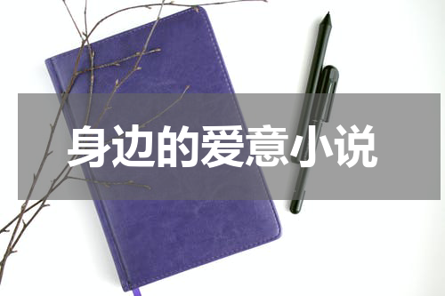 身边的爱意小说