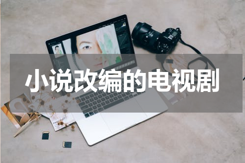 小说改编的电视剧