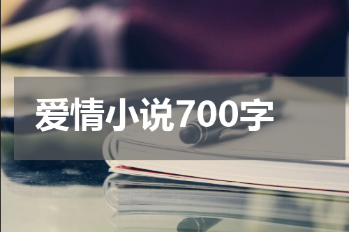 爱情小说700字