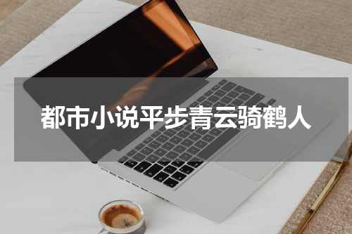 都市小说平步青云骑鹤人