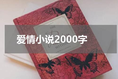 爱情小说2000字