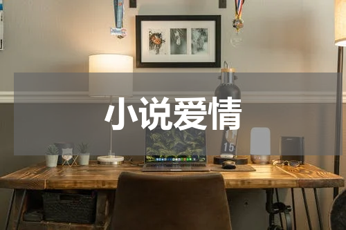 小说爱情