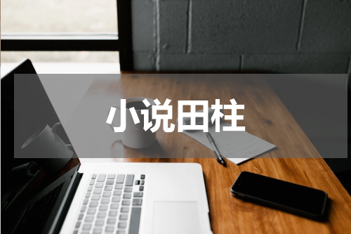 小说田柱