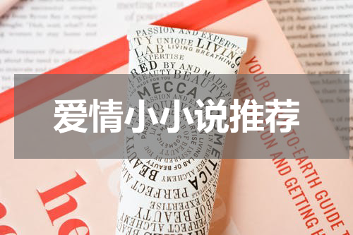 爱情小小说推荐