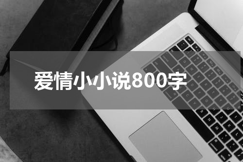 爱情小小说800字
