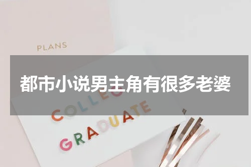都市小说男主角有很多老婆