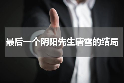 最后一个阴阳先生唐雪的结局