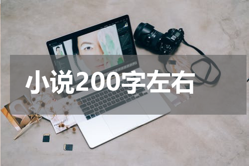 小说200字左右