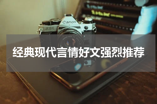 经典现代言情好文强烈推荐