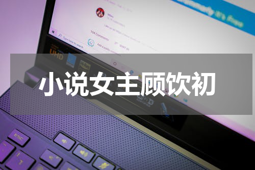 小说女主顾饮初