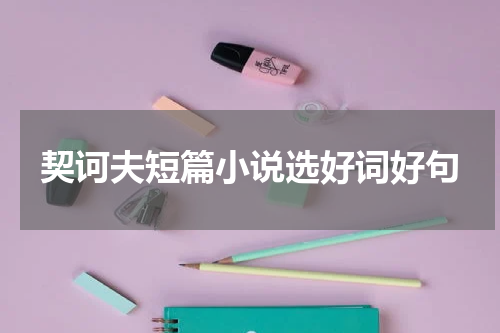 契诃夫短篇小说选好词好句