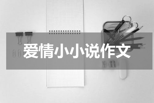 爱情小小说作文