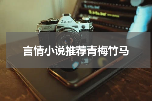 言情小说推荐青梅竹马