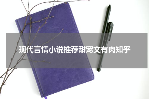 现代言情小说推荐甜宠文有肉知乎