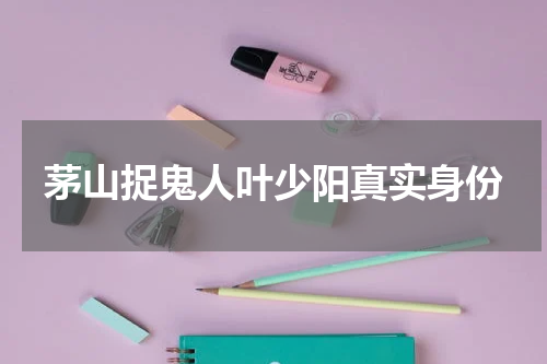 茅山捉鬼人叶少阳真实身份