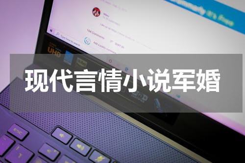 现代言情小说军婚