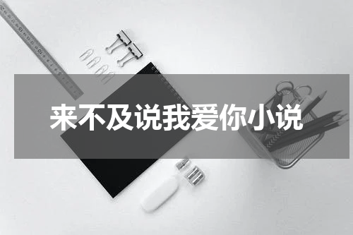 来不及说我爱你小说