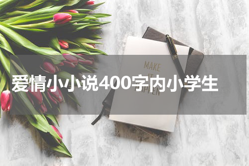 爱情小小说400字内小学生