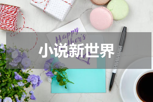 小说新世界