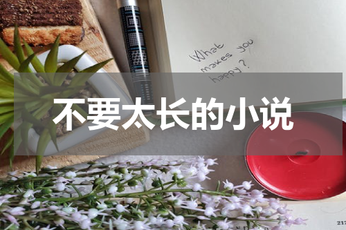 不要太长的小说
