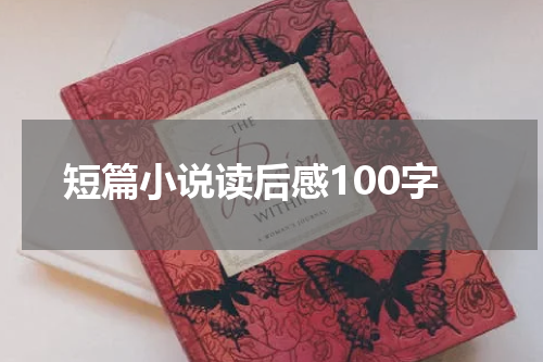 短篇小说读后感100字
