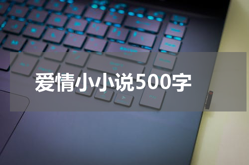 爱情小小说500字
