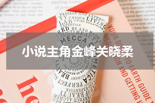 小说主角金峰关晓柔