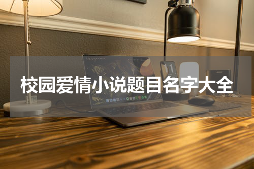 校园爱情小说题目名字大全