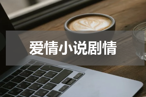 爱情小说剧情