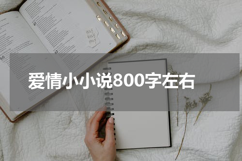 爱情小小说800字左右