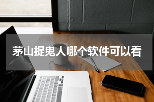 茅山捉鬼人哪个软件可以看