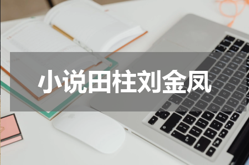 小说田柱刘金凤