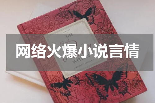 网络火爆小说言情