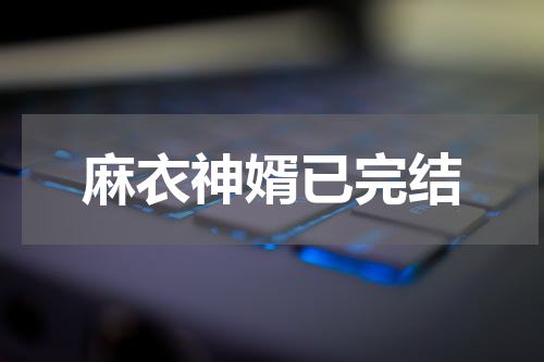 麻衣神婿已完结