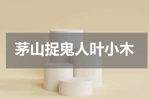 茅山捉鬼人叶小木