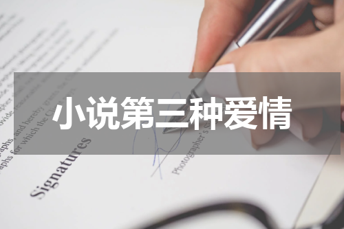小说第三种爱情