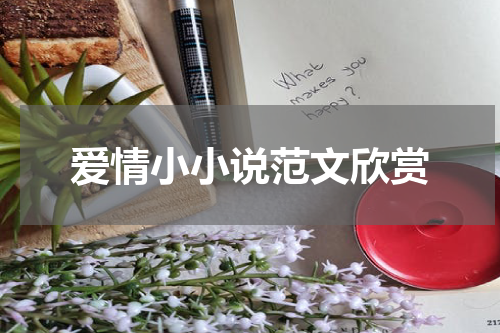 爱情小小说范文欣赏
