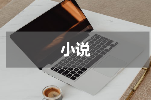 小说
