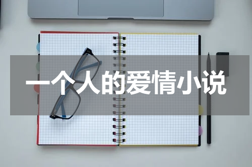 一个人的爱情小说
