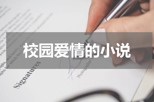校园爱情的小说