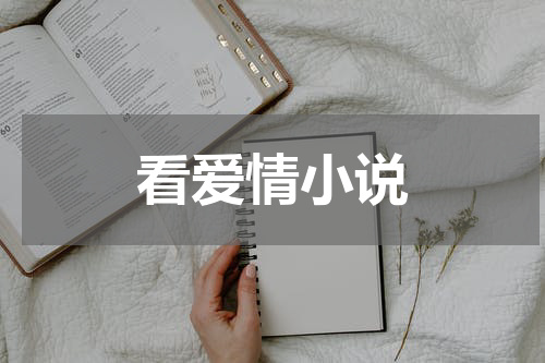 看爱情小说