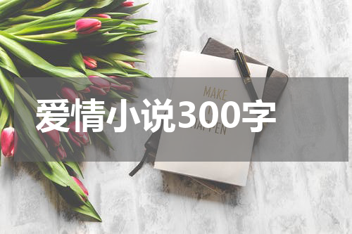 爱情小说300字