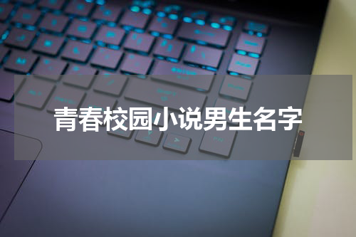 青春校园小说男生名字